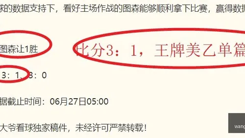 郑智黄博本轮停赛，网球赛事资讯，，看台上的神秘遥控指挥策略