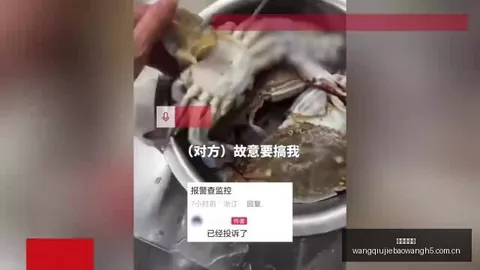 五棵松赛事挑战重重，杜锋寄语球员健康作战网球比赛数据：比赛不易之谜